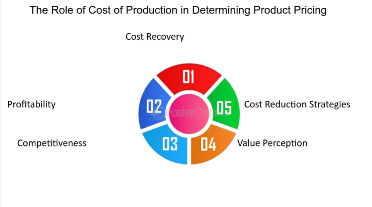 Production Costs and Their Role 